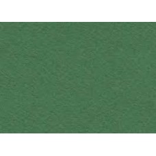 Картон цветной тонированный. м.200 ф.600х840 зеленый